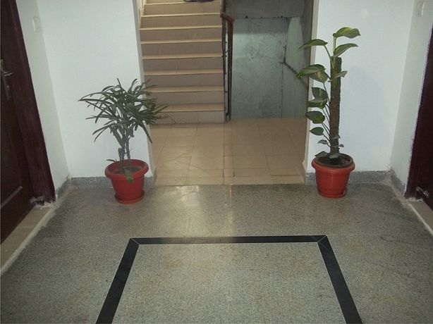 Construction Update Indoor Plantation of Tower Entrance
